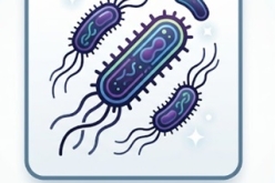 GIÁM SÁT VI KHUẨN LISTERIA MONOCYTOGENES VÀ NGHIÊN CỨU THỜI HẠN SỬ DỤNG CỦA THỰC PHẨM ĂN LIỀN (RTE)