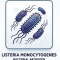 GIÁM SÁT VI KHUẨN LISTERIA MONOCYTOGENES VÀ NGHIÊN CỨU THỜI HẠN SỬ DỤNG CỦA THỰC PHẨM ĂN LIỀN (RTE)